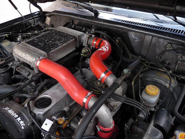 P1000856.JPG