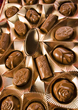 chocolat5.jpg