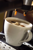 café4.jpg