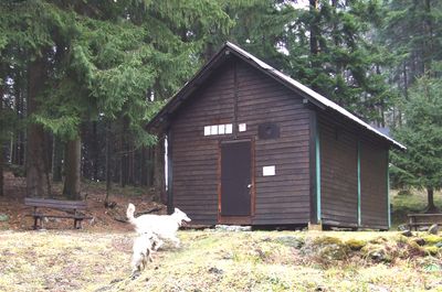 Vidock Effi Chalet.jpg