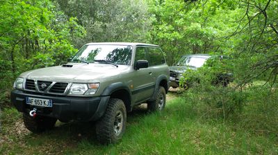 61 Foret.jpg