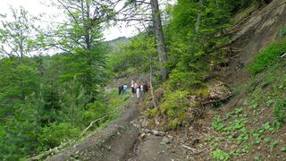 Eboulis.jpg