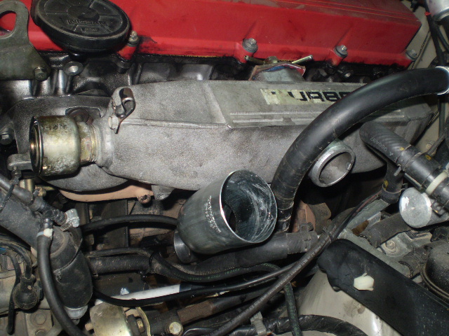 P8010005.JPG