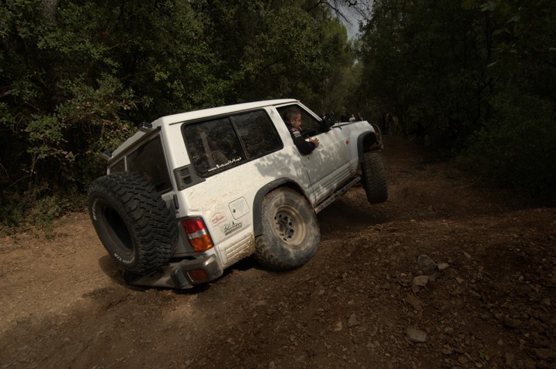 dsc_0811.jpg