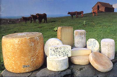 Fromage Auvergne.jpg