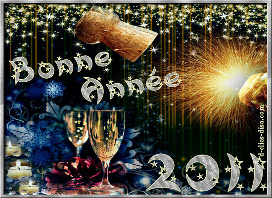 carte-bonne-annee-2011-9--d-clics-disa.jpg